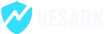 Nesark | Best Digital Marketing Agency in India
